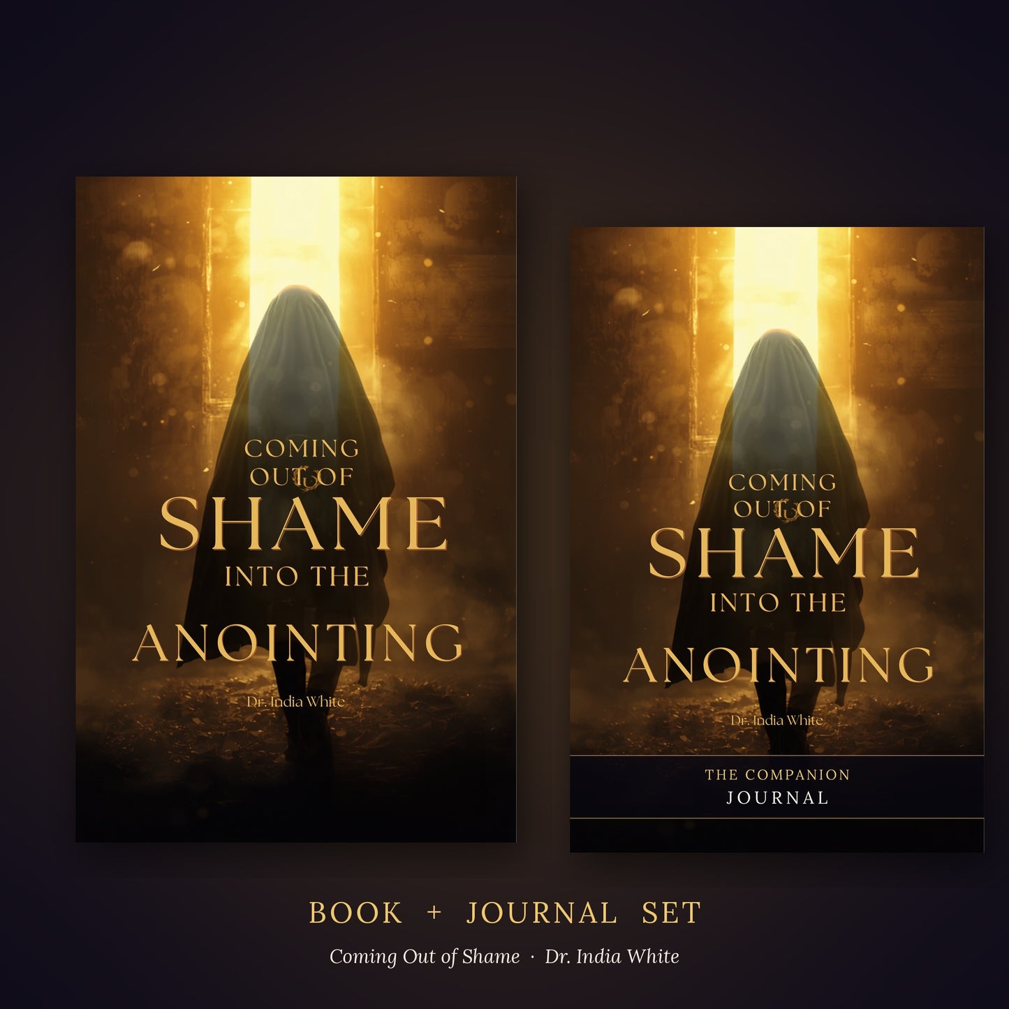 Coming Out of Shame — Book + Journal Set
